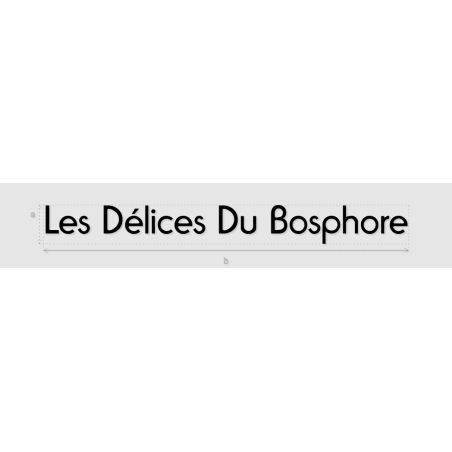 Découpe de lettres : "Les Délices Du Bosphore"