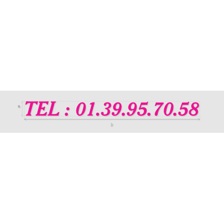 Découpe de lettres : "TEL : 01.39.95.70.58"