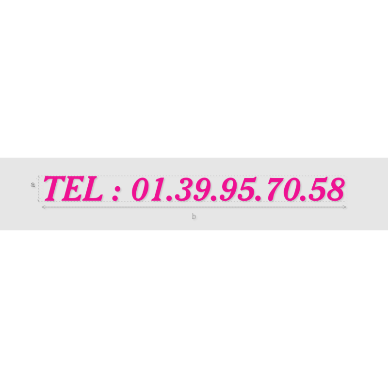 Découpe de lettres : "TEL : 01.39.95.70.58"