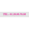 Découpe de lettres : "TEL : 01.39.95.70.58"