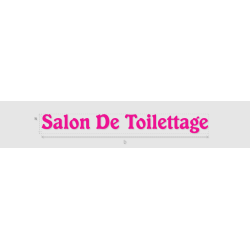 Découpe de lettres : "Salon...