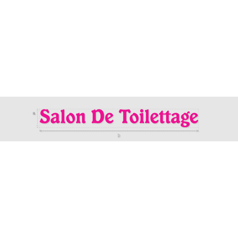 Découpe de lettres : "Salon De Toilettage"
