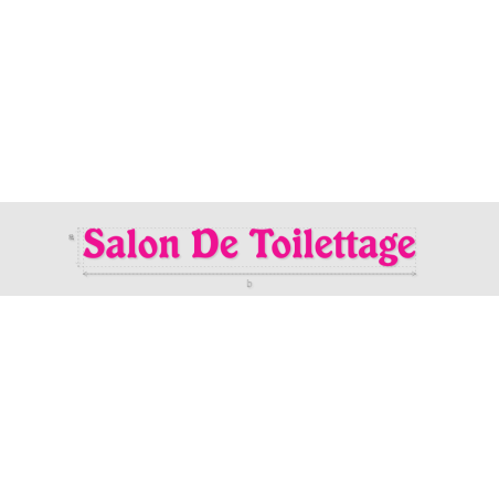 Découpe de lettres : "Salon De Toilettage"
