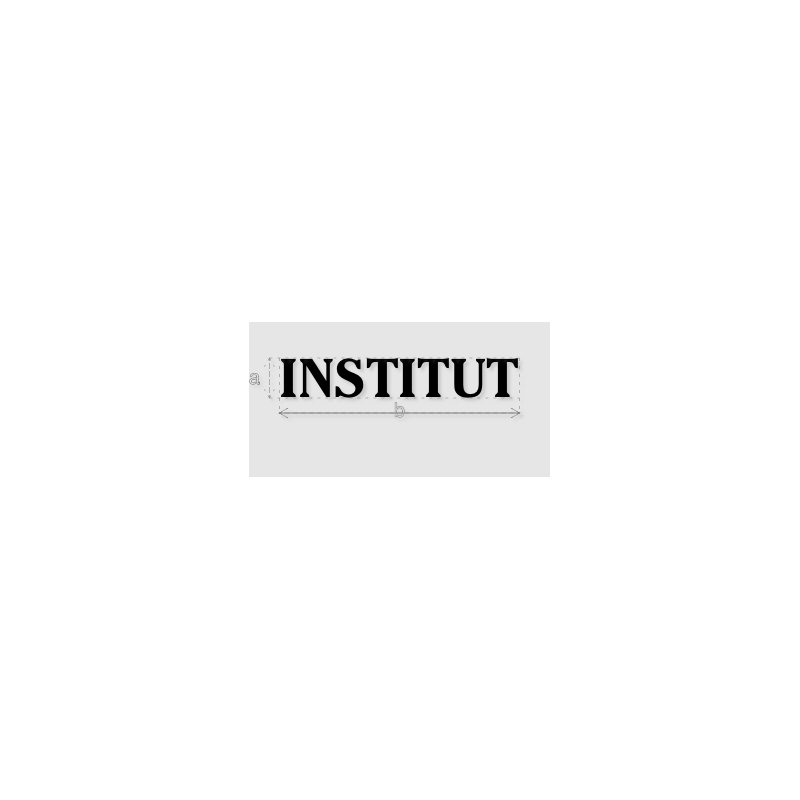 Découpe de lettres : "INSTITUT"