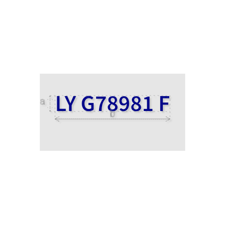 Découpe de lettres : "LY G78981 F"
