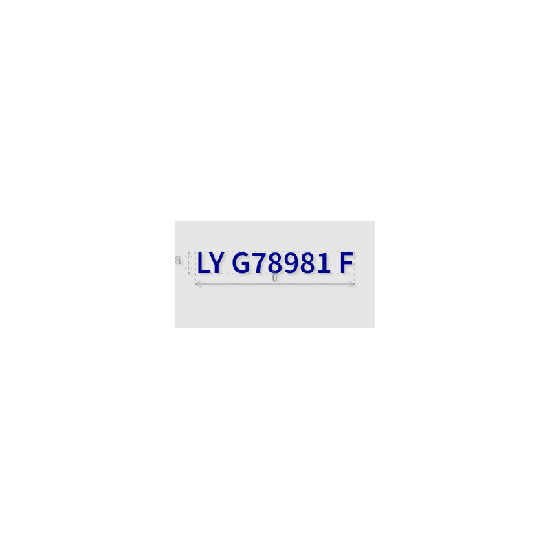 Découpe de lettres : "LY G78981 F"