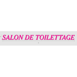 Découpe de lettres : "SALON...