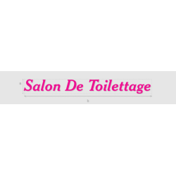 Découpe de lettres : "Salon...
