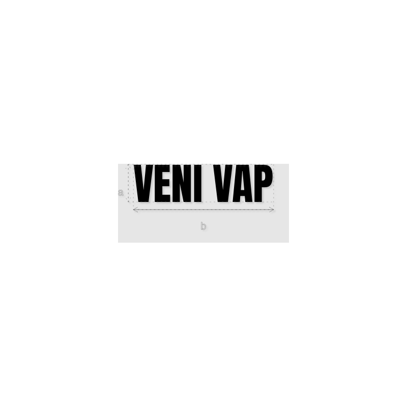 Découpe de lettres : "VENI VAP"