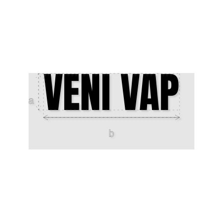 Découpe de lettres : "VENI VAP"