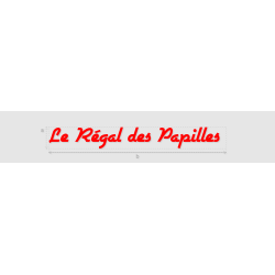 Découpe de lettres : "Le...