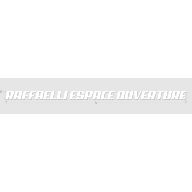 Découpe de lettres : "RAFFAELLI ESPACE OUVERTURE"