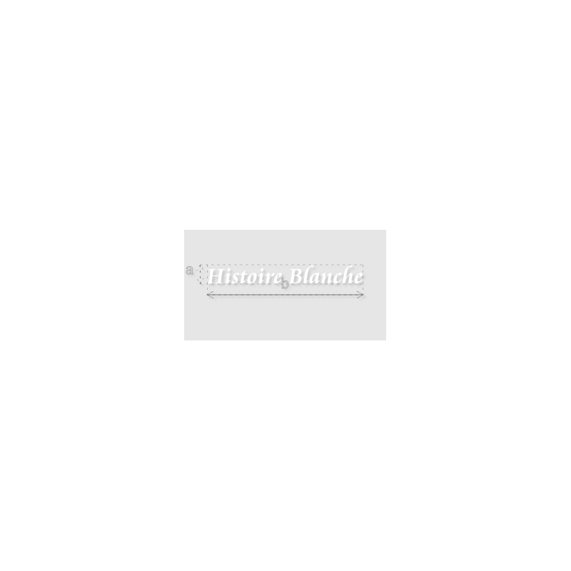 Découpe de lettres : "Histoire Blanche"