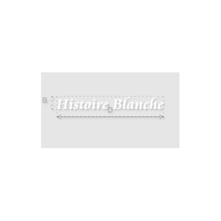 Découpe de lettres : "Histoire Blanche"