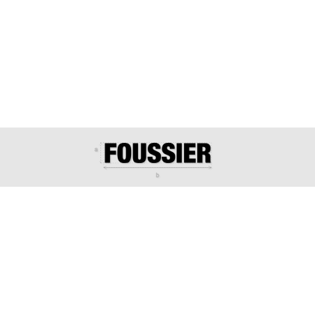 Découpe de lettres : "FOUSSIER"