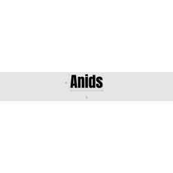 Découpe de lettres : "Anids"