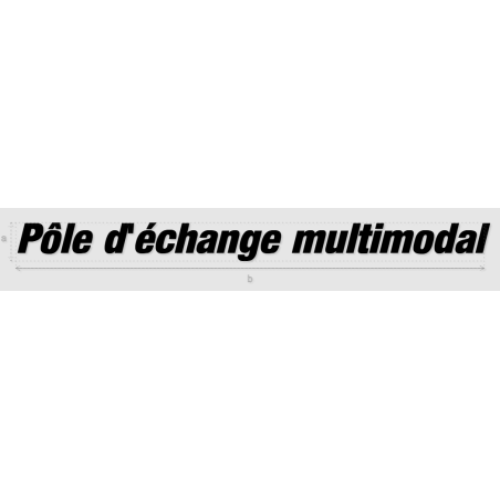 Découpe de lettres : "Pôle d'échange multimodal"