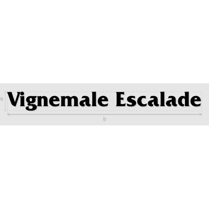 Découpe de lettres : "Vignemale Escalade"