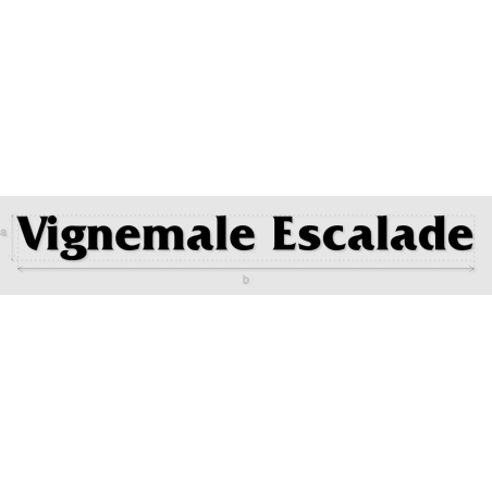 Découpe de lettres : "Vignemale Escalade"