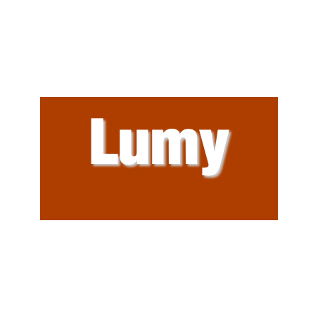 Découpe de lettres : "Lumy"