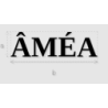Découpe de lettres : "ÂMÉA"