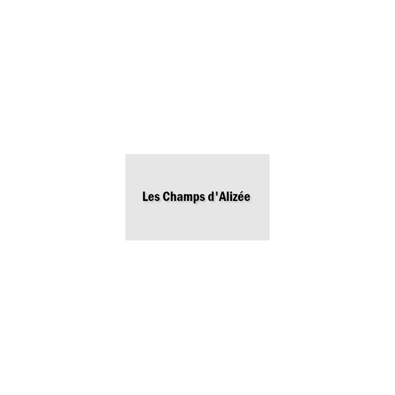 Découpe de lettres : "Les Champs d'Alizée "